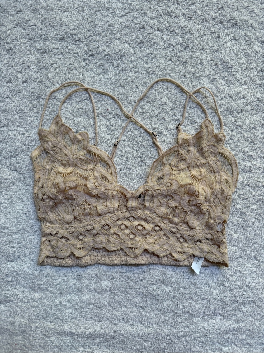 Free People Lace Bandeau Bralette in Taupe